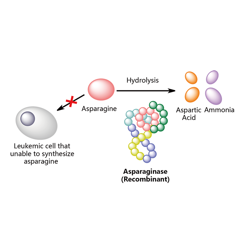 Products List Page Pharmacodia