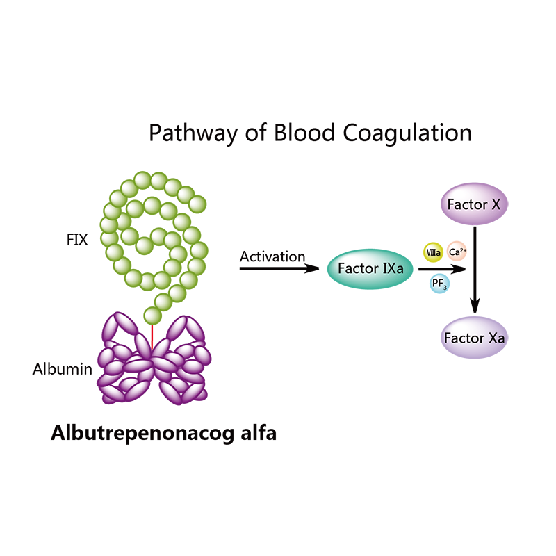 Products List Page - Pharmacodia