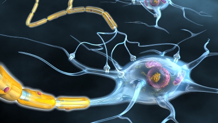 Results from ZINBRYTA™ (Daclizumab High-Yield Process) Phase 3 DECIDE Study Highlighting Efficacy Compared to Interferon Beta-1a Published in the New England Journal of Medicine and Presented at ECTRIMS