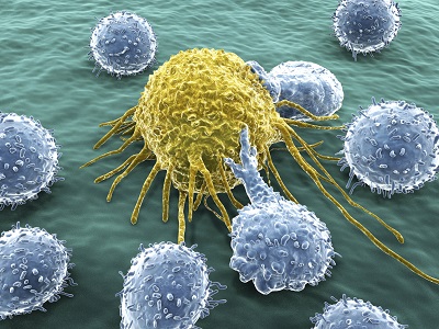 New Digital Company Attacks Hard-To-Kill Cancer With Software