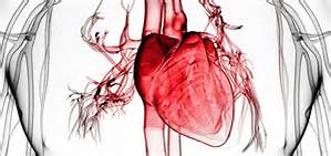 Jardiance® (empagliflozin) to be studied for the treatment of people with chronic heart failure