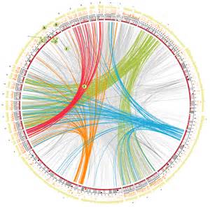 Symposium findings provide ‘wake-up call’ about postoperative complications, registry discrepancies