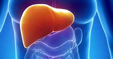 Survival rates increase for patients with acute liver failure