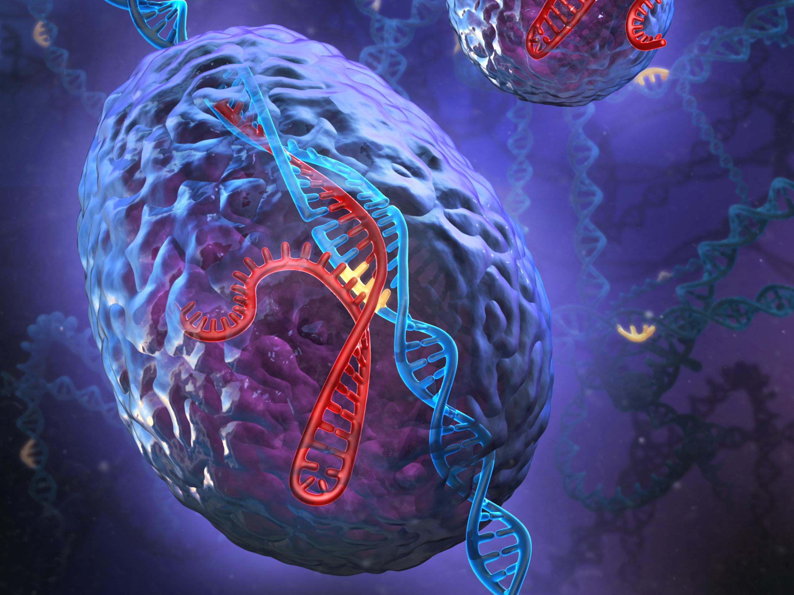 Regeneron and Intellia Therapeutics Announce Collaboration to Discover and Develop CRISPR/Cas Therapeutics