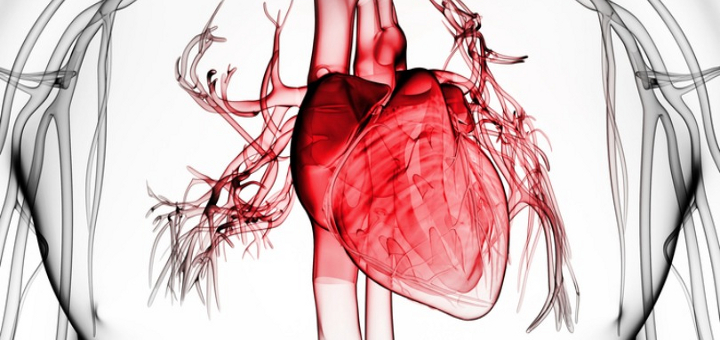 Amgen and Cytokinetics Announce Positive Top-Line Results From COSMIC-HF, A Phase 2 Trial of Omecamtiv Mecarbil in Patients With Chronic Heart Failure