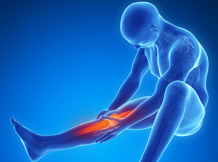 Ember Therapeutics Announce Initial Positive Results From a Phase 2 Trial of BMP-7 in Patients with Moderate Osteoarthritis of the Knee