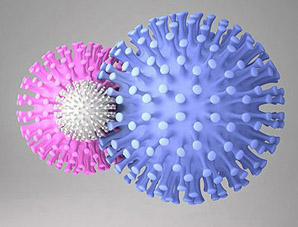 Data from ALLY-3+ Trial Investigating Daklinza (daclatasvir) in Combination with Sofosbuvir and Ribavirin in Chronic Hepatitis C Genotype 3 Patients with Advanced Fibrosis or Cirrhosis Presented at AASLD